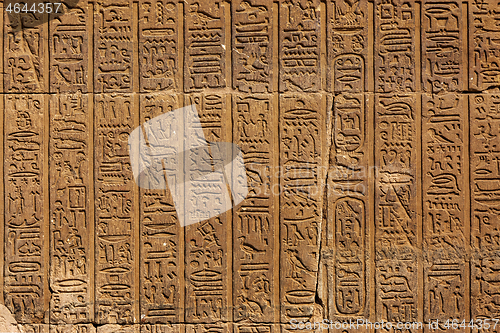 Image of ancient egypt hieroglyphics on wall