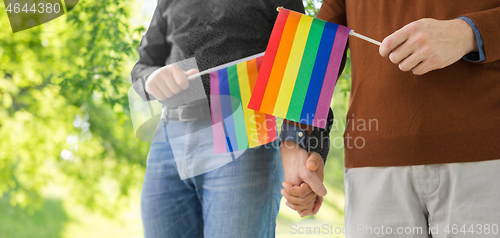 Image of male couple with gay pride flags holding hands