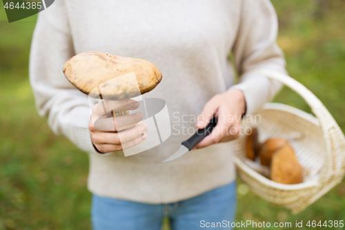 Image of woman with basket picking mushrooms in forest