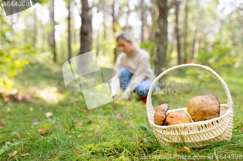 Image of basket of mushrooms and woman in autumn forest