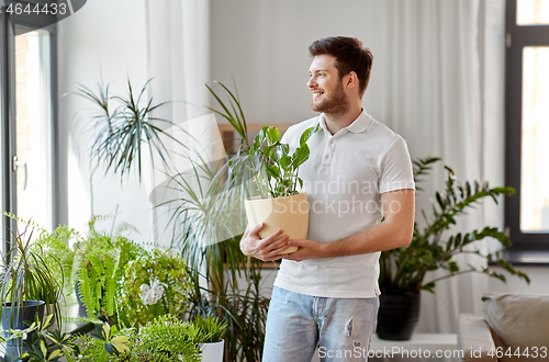 Image of man with flower taking care of houseplants at home