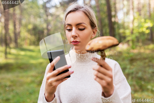 Image of woman using smartphone to identify mushroom