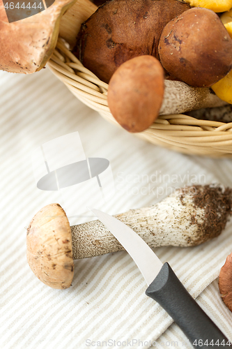 Image of basket of different edible mushrooms and knife