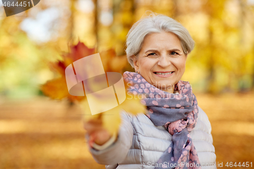 Image of senior woman with maple leaves at autumn park