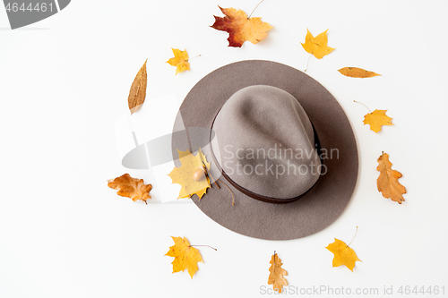 Image of hat and fallen autumn leaves on white background