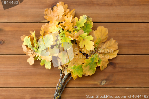 Image of oak leaves in autumn colors on wooden table