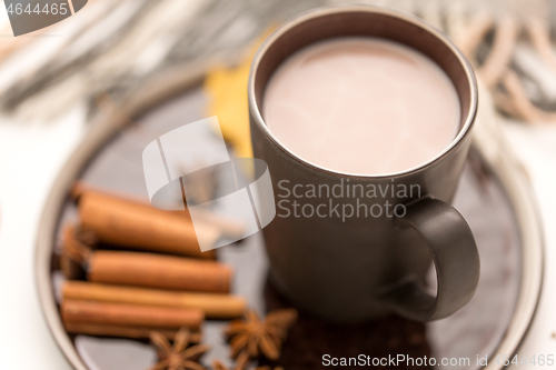 Image of close up of cup of hot chocolate with cinnamon