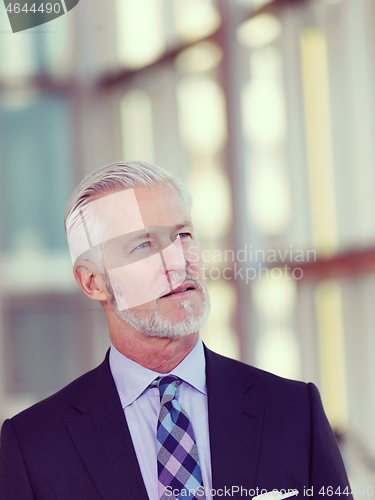 Image of senior business man portrait