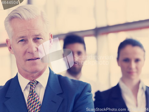 Image of portrait of senior businessman as leader  with staff in backgrou