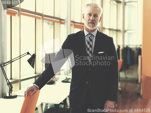 Image of senior business man portrait