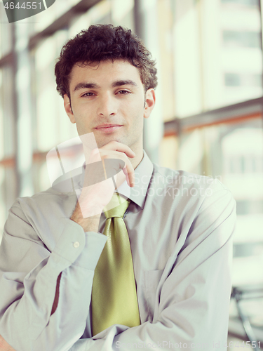 Image of portrait of young business man at modern office