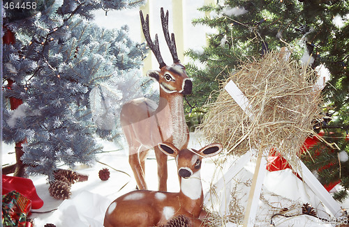 Image of Christmas Decoration