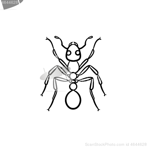 Image of Ant hand drawn sketch icon.