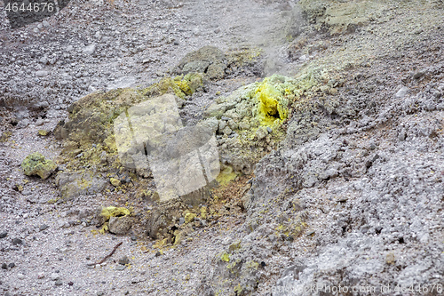 Image of geothermal activity at Rotorua in New Zealand