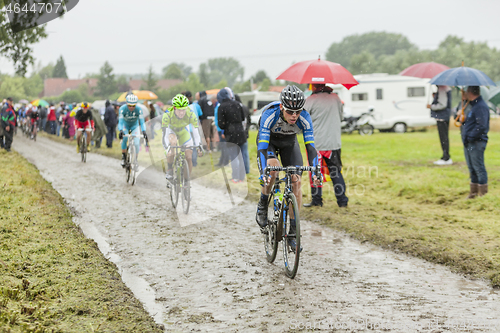 Image of The Peloton on a Cobblestone Road - Tour de France 2014