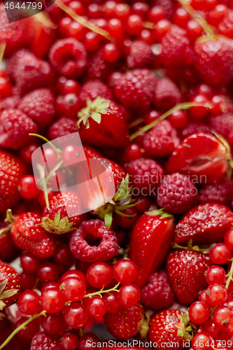 Image of Fresh summer red fruit background composition. Strawberries, red currants, raspberries.