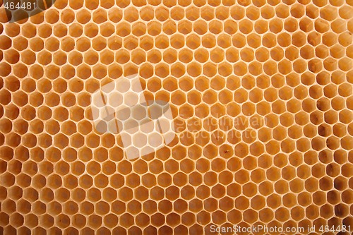 Image of honey texture