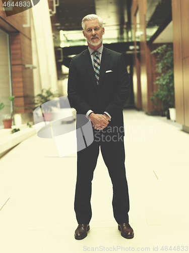 Image of senior business man portrait