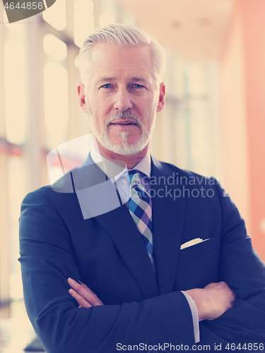 Image of senior business man portrait