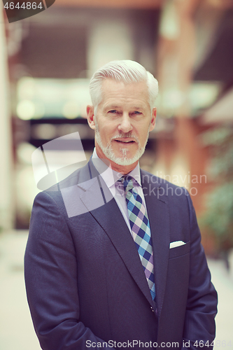 Image of senior business man portrait