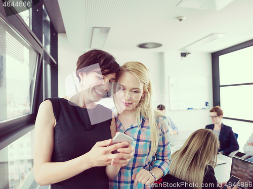 Image of Two Elegant Women Using Mobile Phone by window in office buildin