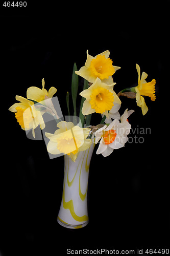 Image of flowers 