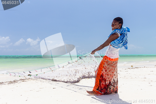 Image of Traditional african local rural fishing on Paje beach, Zanzibar, Tanzania. Traditionally dressed local woman pulling fishing net, catching small fish.