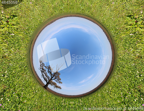 Image of Stereographic panoramic projection of a green field with an tree