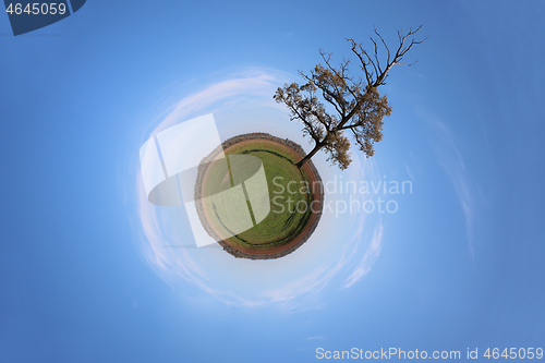 Image of Stereographic panoramic projection of a green field with an tree