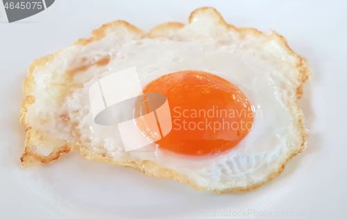 Image of Fried egg on a white plate 