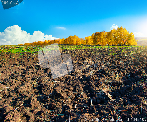 Image of Plowed farm field