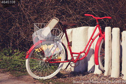 Image of unroadworthy retro bicycle