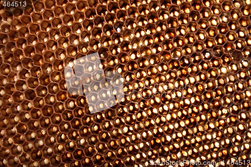 Image of honey texture