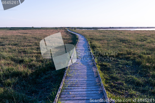 Image of Wooden footbridge through a wetland