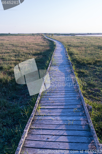 Image of Boardwalk through the wetlands