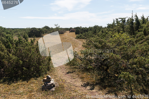 Image of Stone cairn by a trail in a landscape with junipers