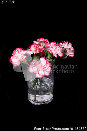 Image of flowers
