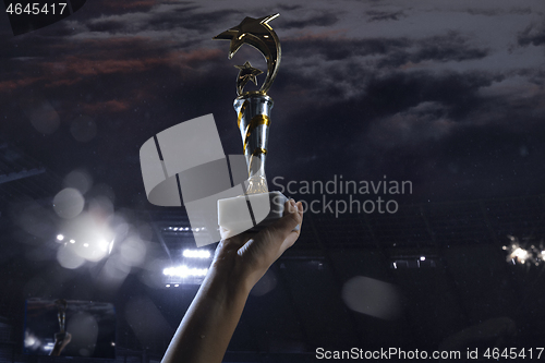 Image of Award of victory, male hands tightening the cup of winners against cloudy dark sky