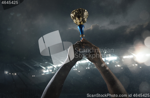 Image of Award of victory, male hands tightening the cup of winners against cloudy dark sky