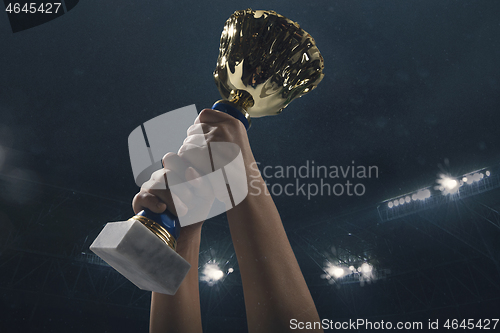 Image of Award of victory, male hands tightening the cup of winners against cloudy dark sky