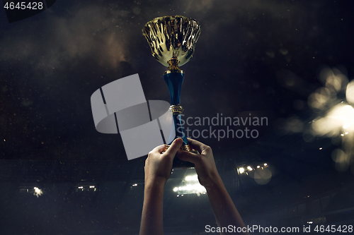 Image of Award of victory, male hands tightening the cup of winners against cloudy dark sky