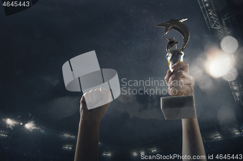 Image of Award of victory, male hands tightening the cup of winners against cloudy dark sky