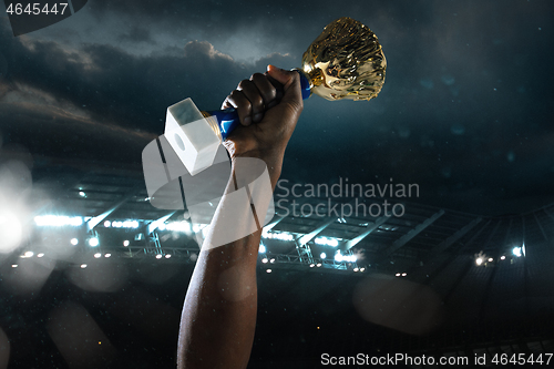 Image of Award of victory, male hands tightening the cup of winners against cloudy dark sky