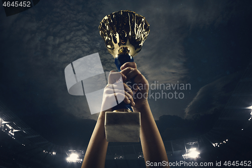 Image of Award of victory, male hands tightening the cup of winners against cloudy dark sky