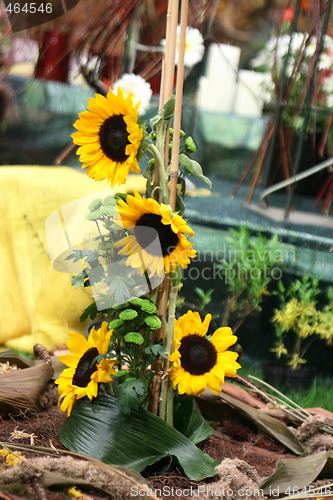 Image of floral background