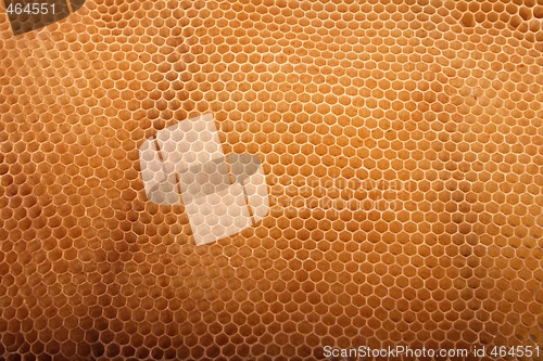 Image of honey texture