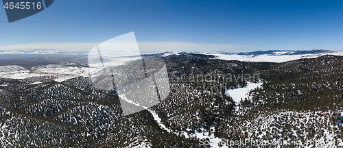 Image of Atlas mountains snow forest in Morocco