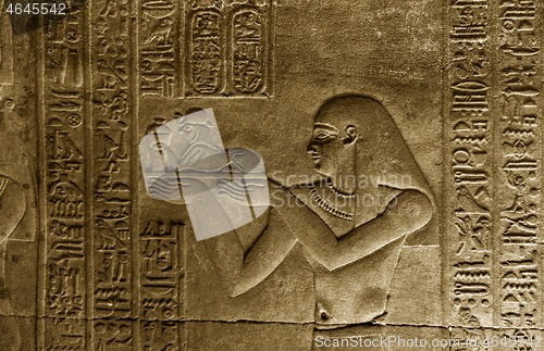 Image of Hieroglyphic carvings in ancient temple