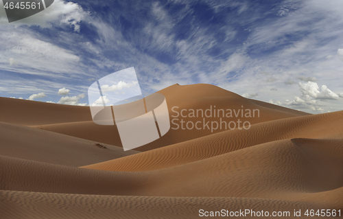 Image of Big sand dunes in desert