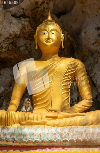 Image of Monkey on Buddha statue in temple